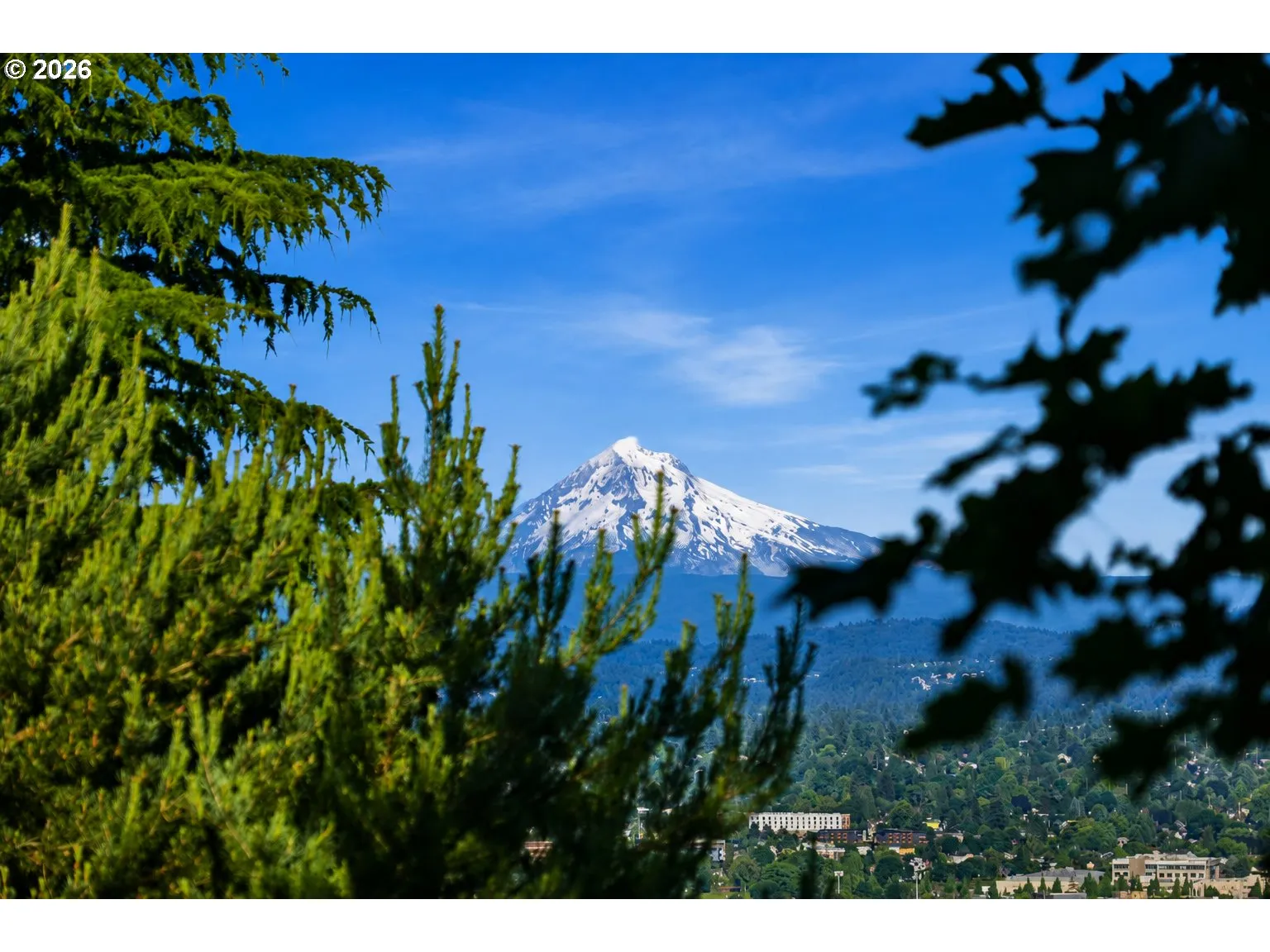 View-Mountain