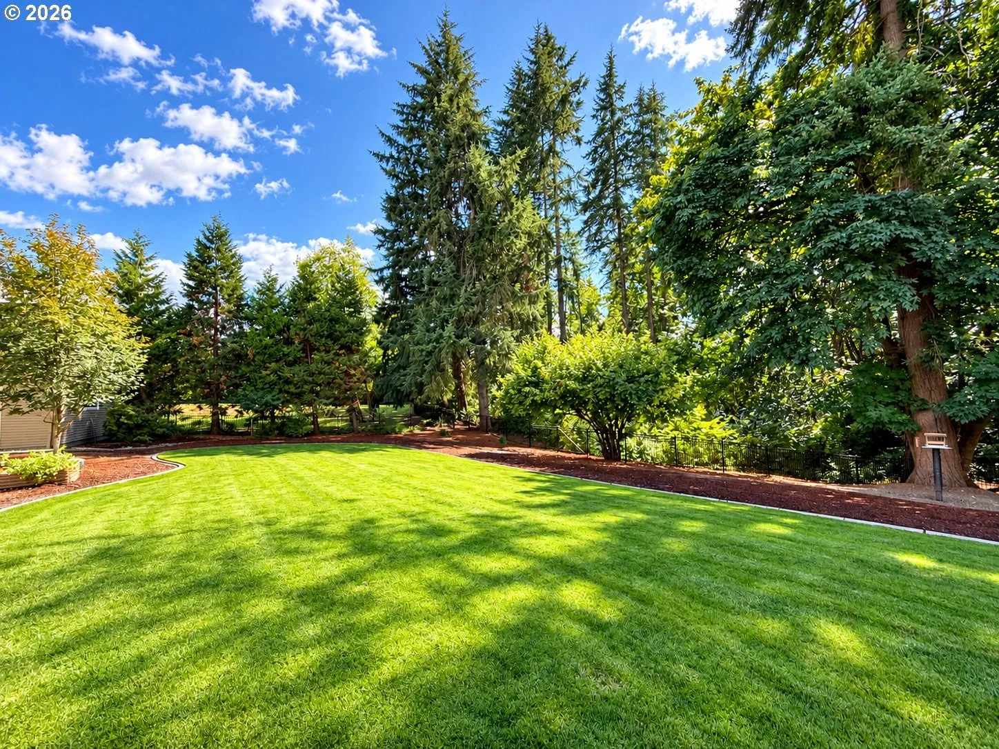 Backyard-Fenced