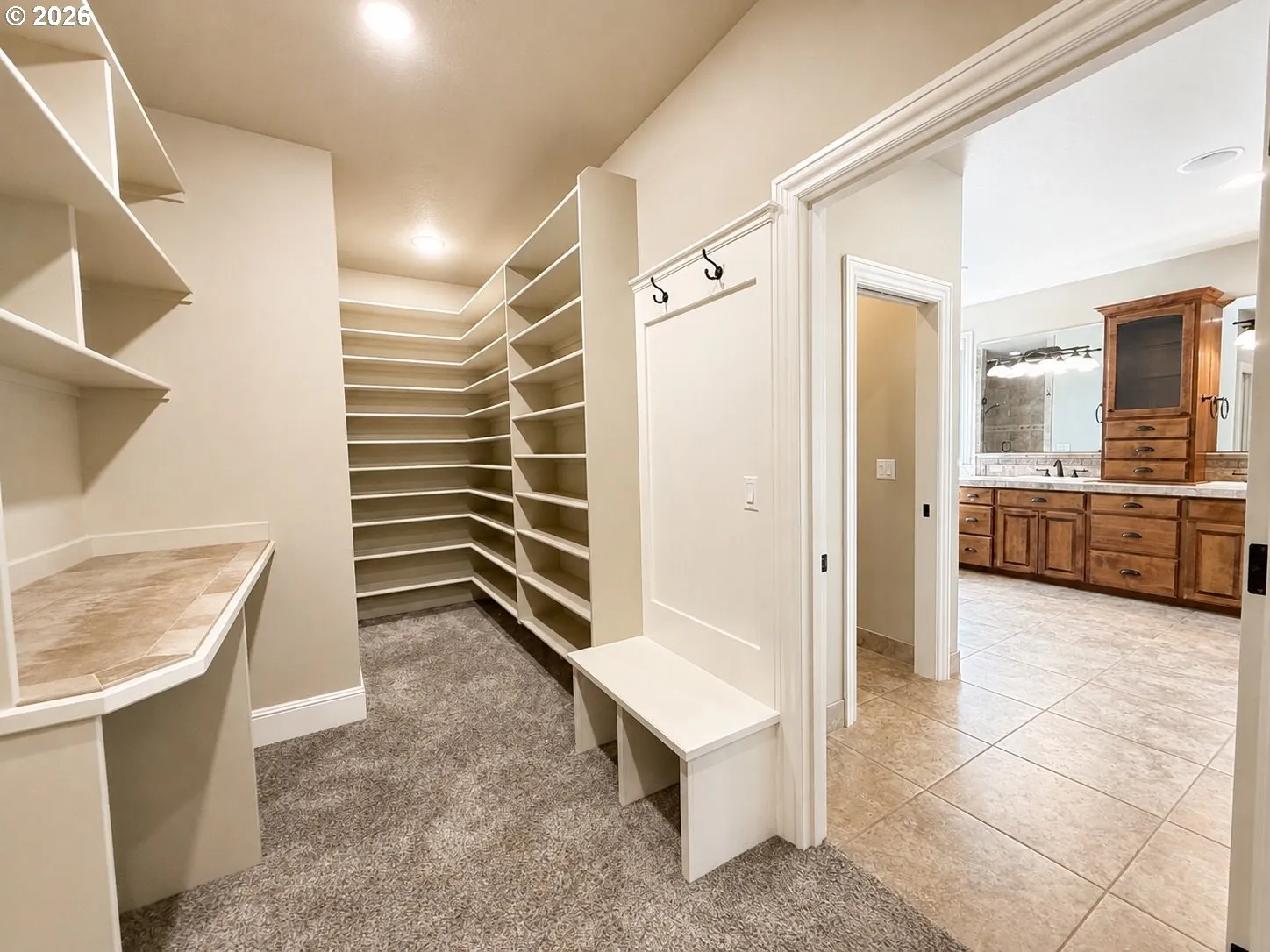 Primary Bedroom-Walk-In Closet