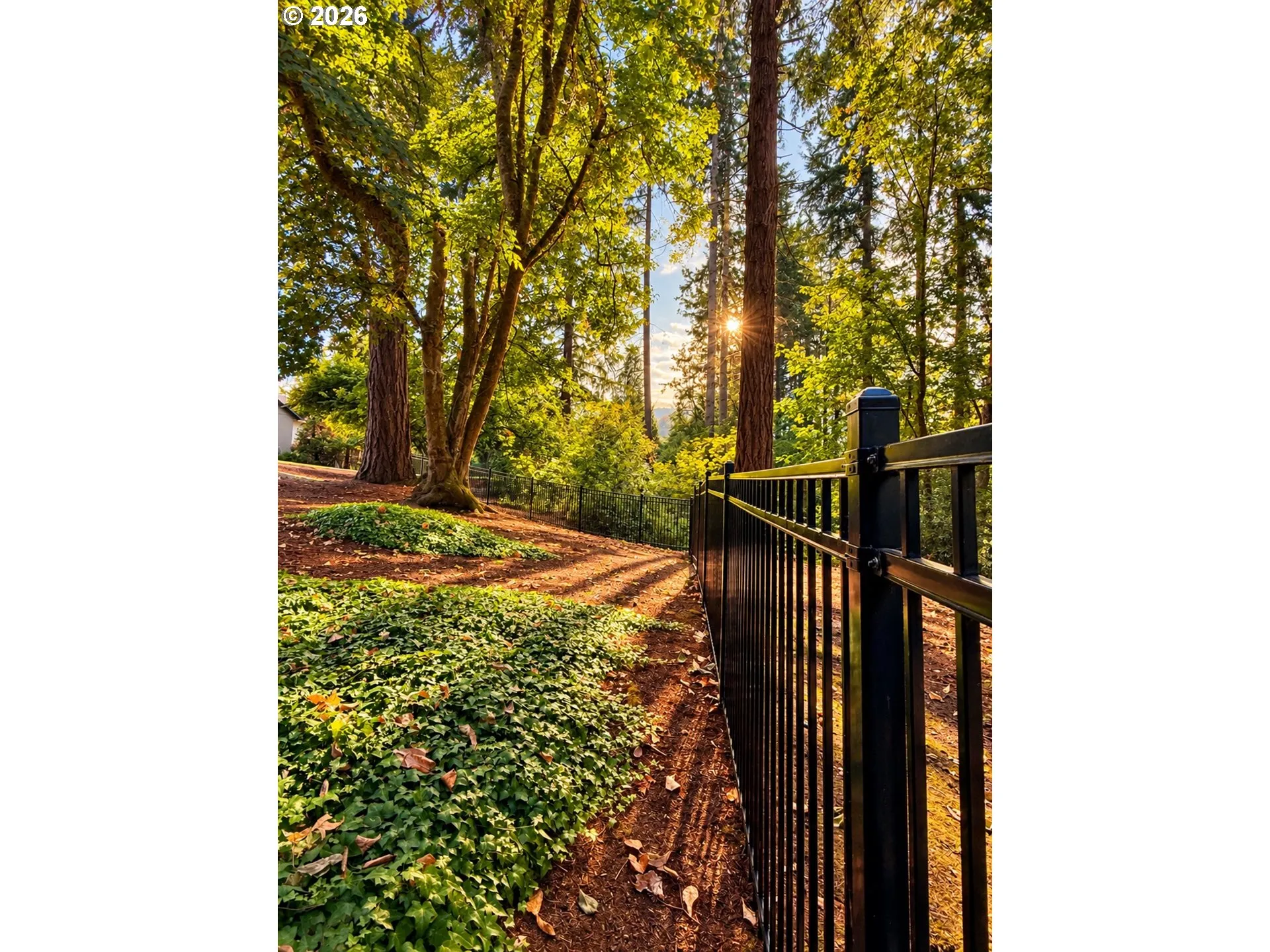 Backyard-Fenced