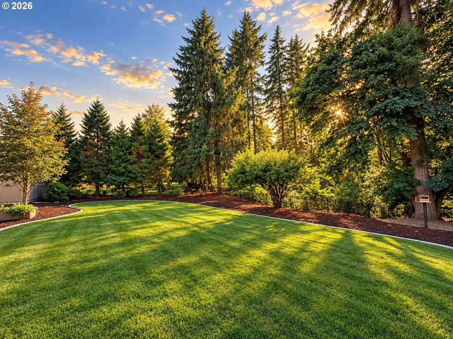 Backyard-Fenced