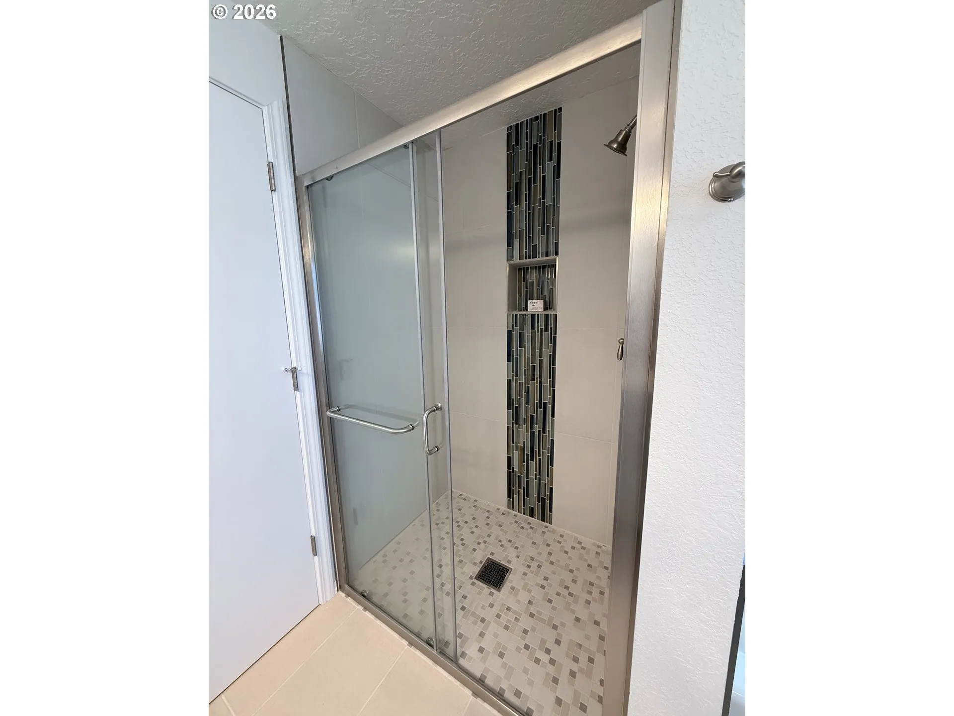 Owner's Suite Bathroom-Walk in Shower