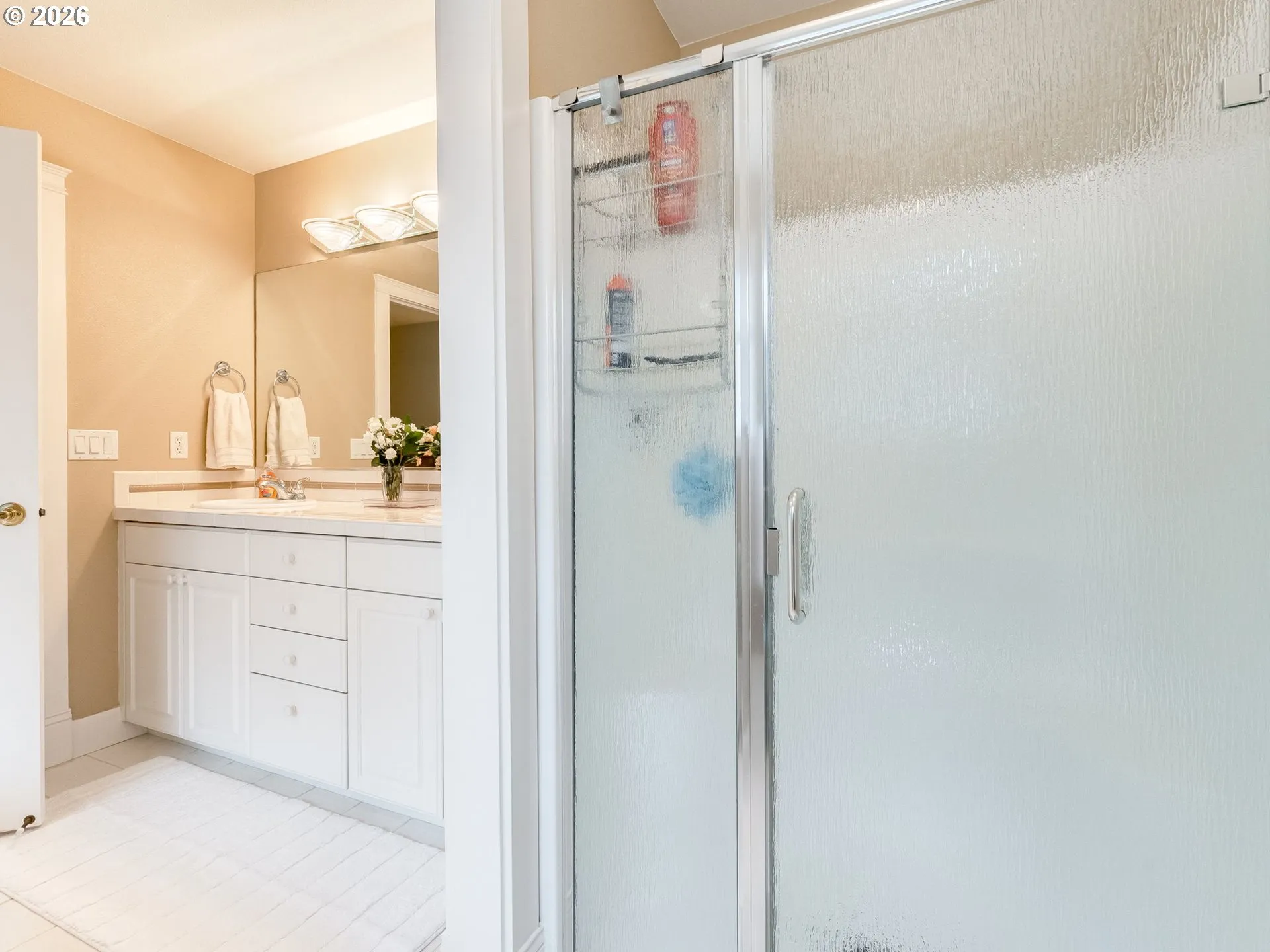 Owner's Suite Bathroom-Walk in Shower