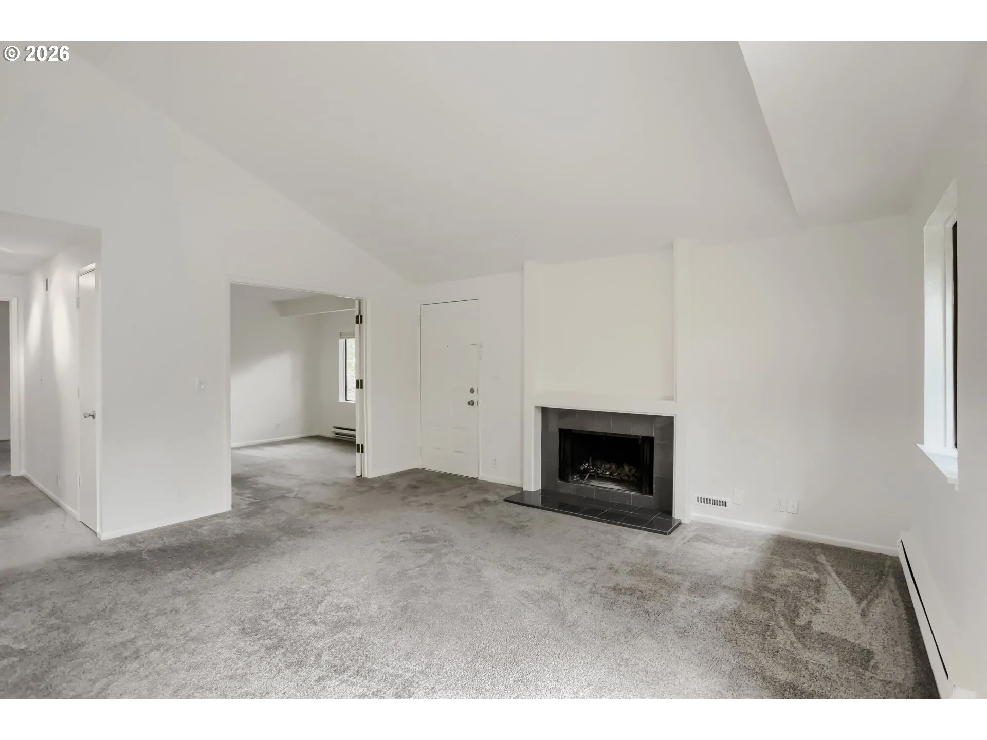 Living Room/Entrance
