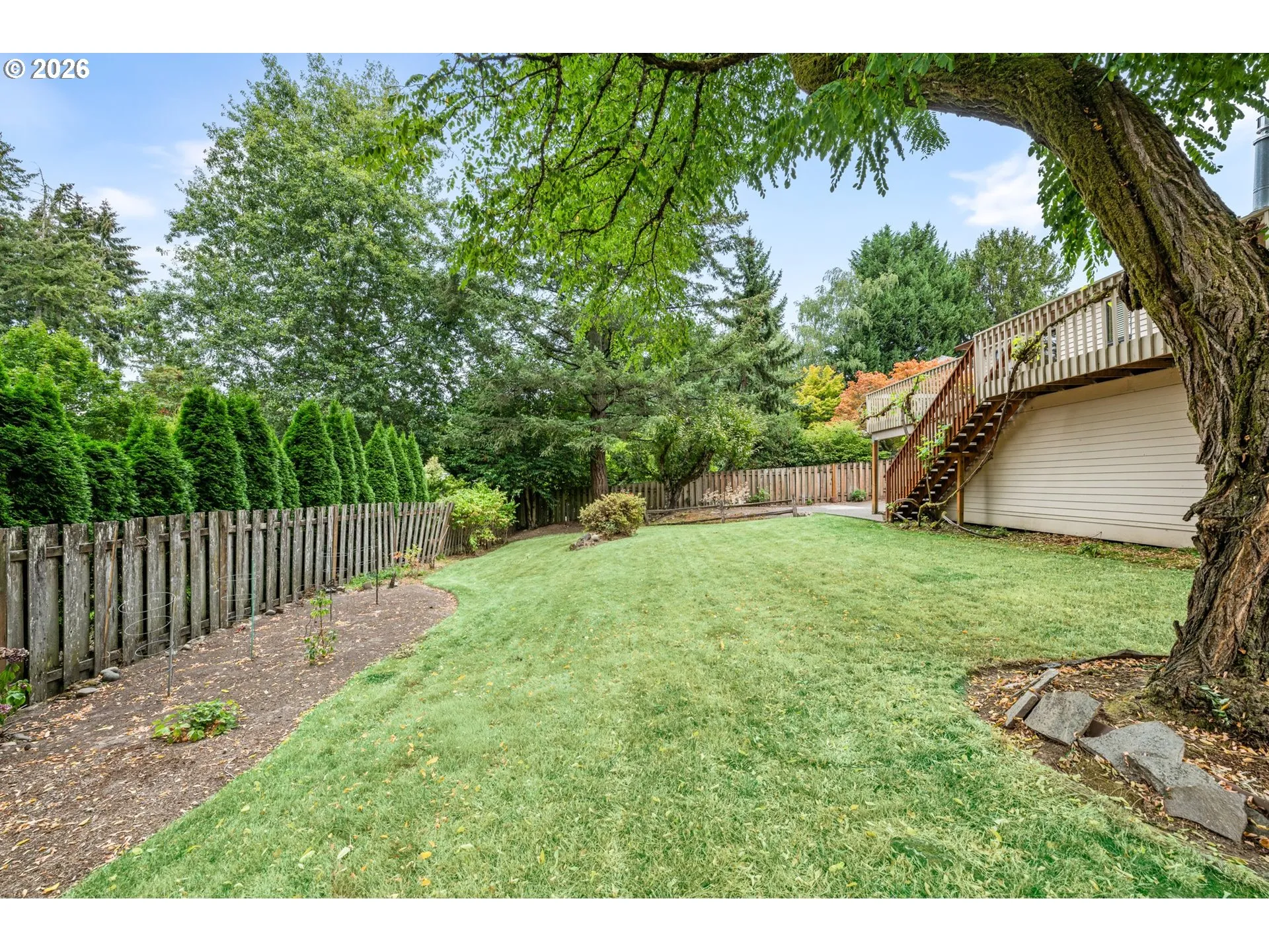 Backyard