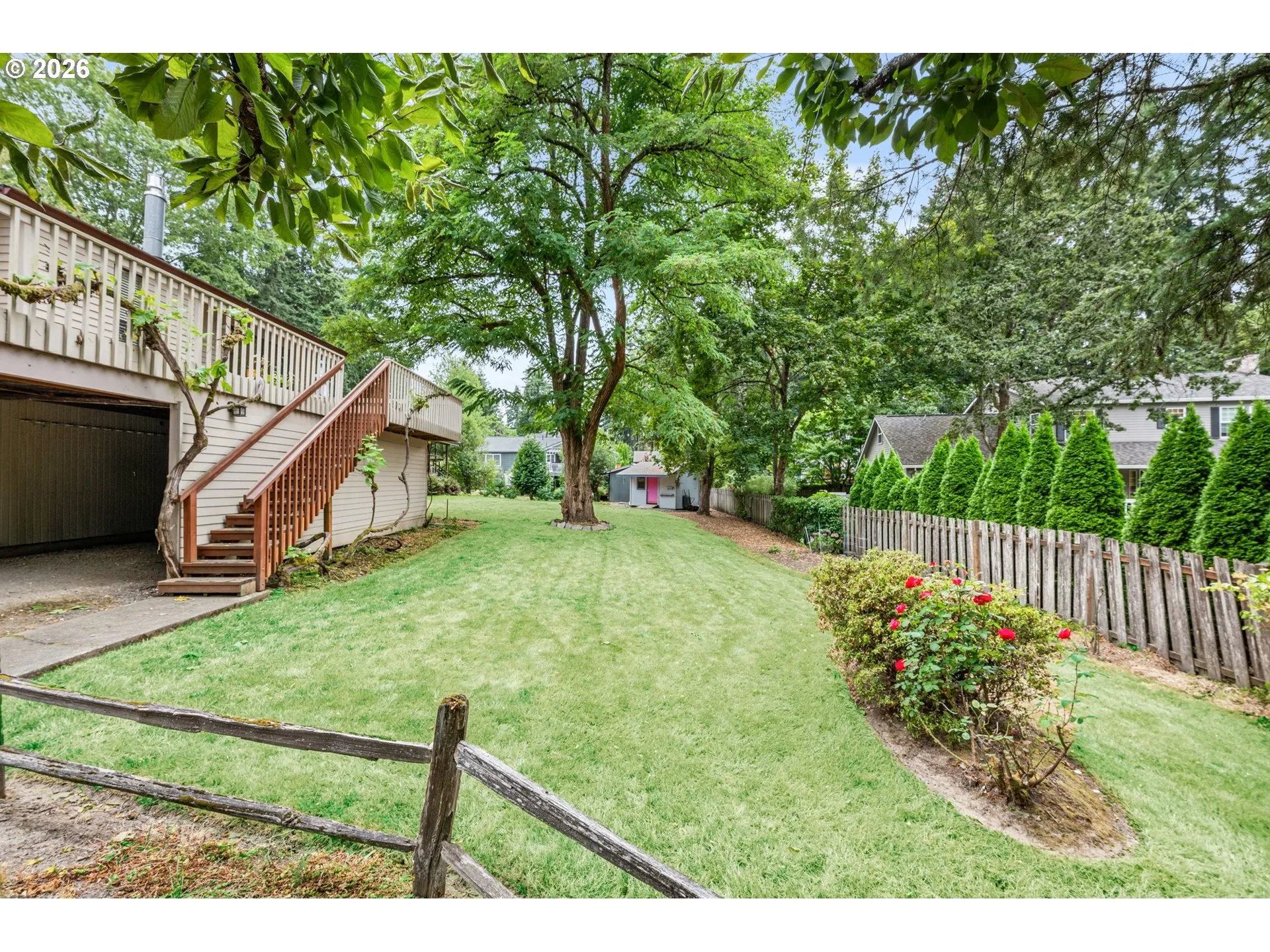 Backyard