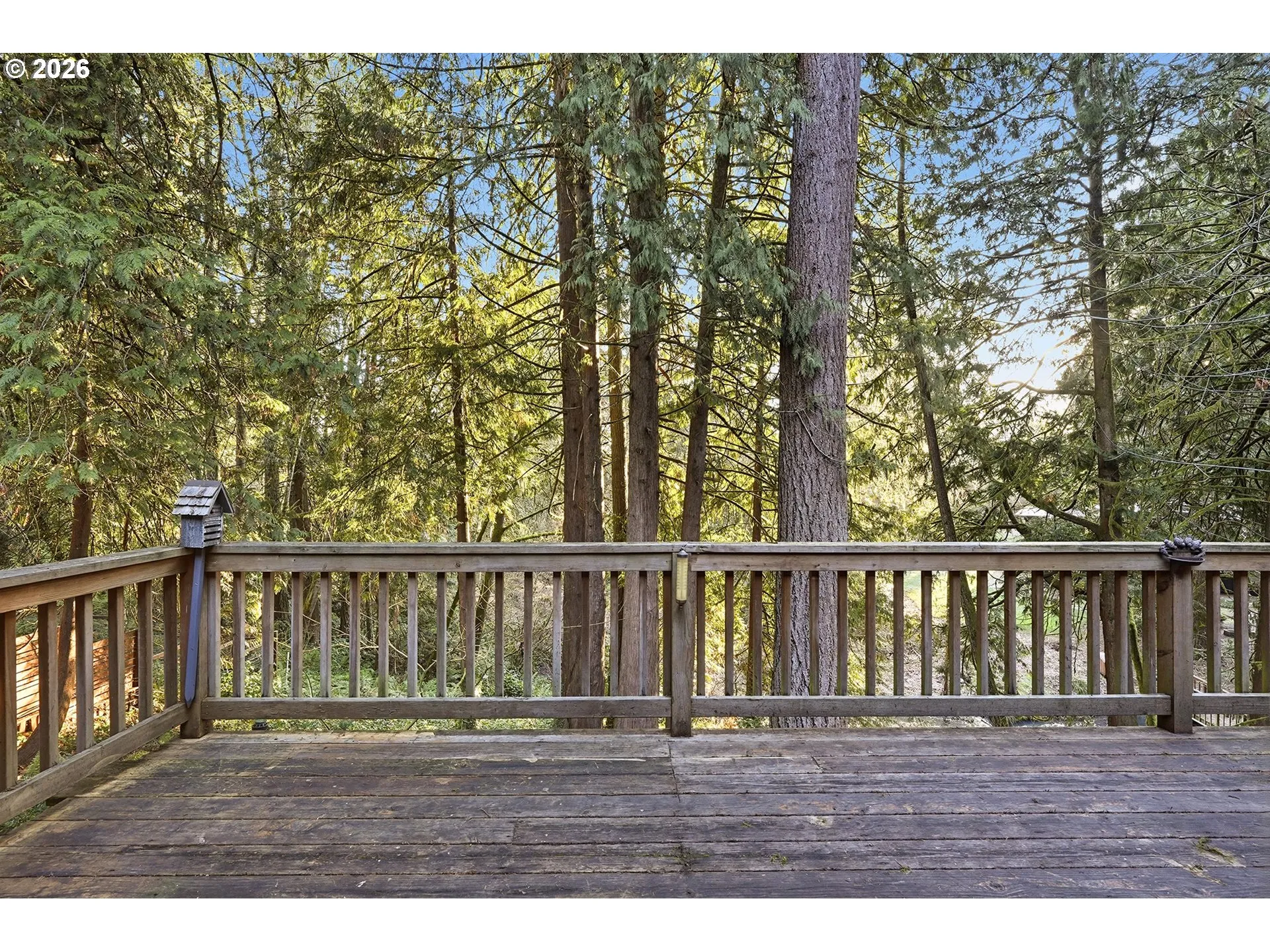 Deck-Main