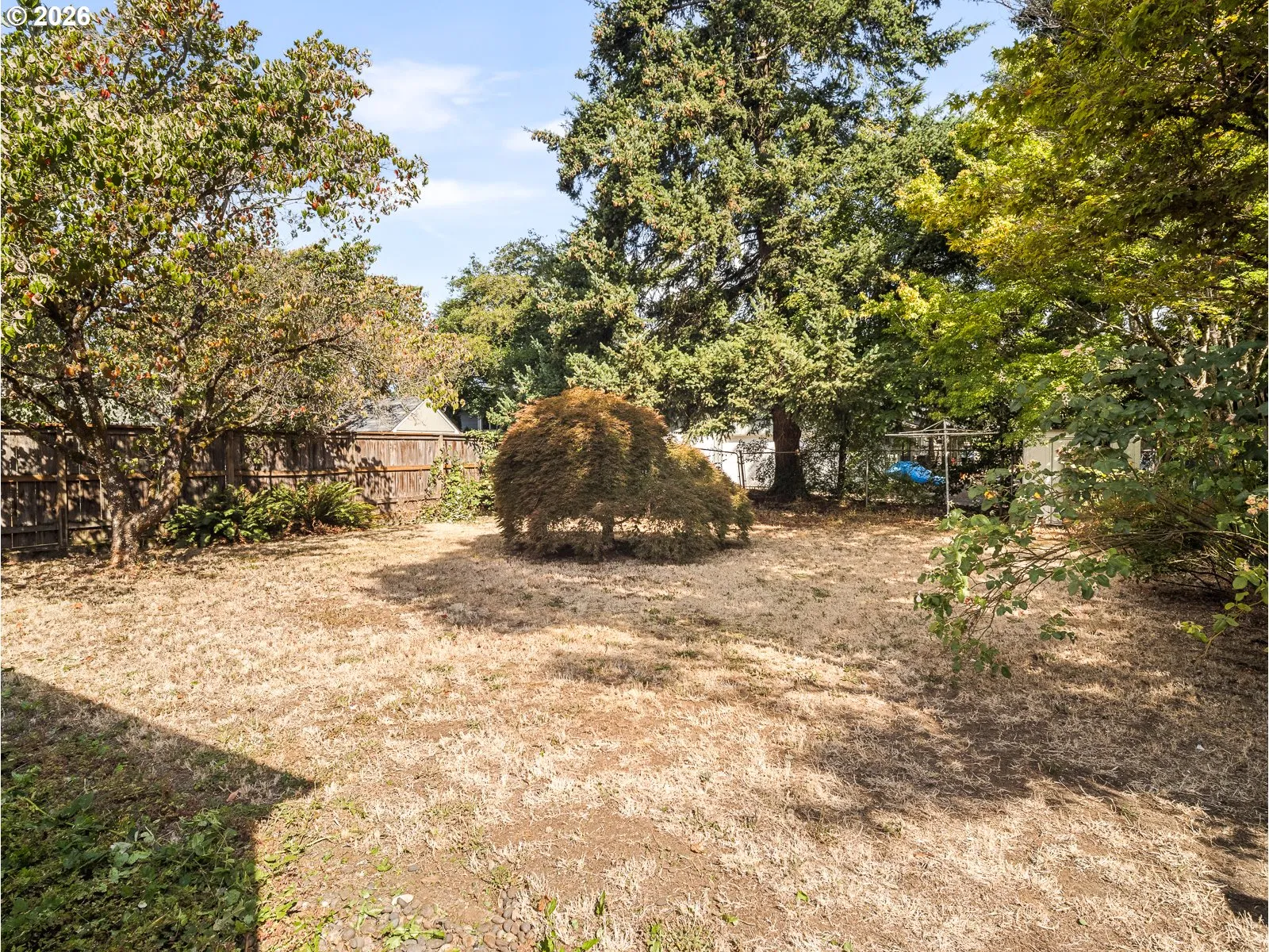 Yard-Back