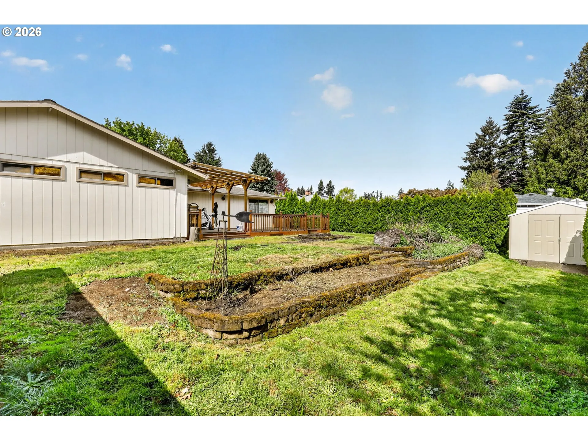 Backyard
