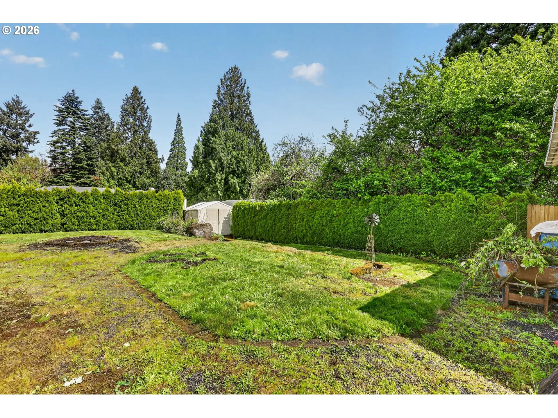 Backyard
