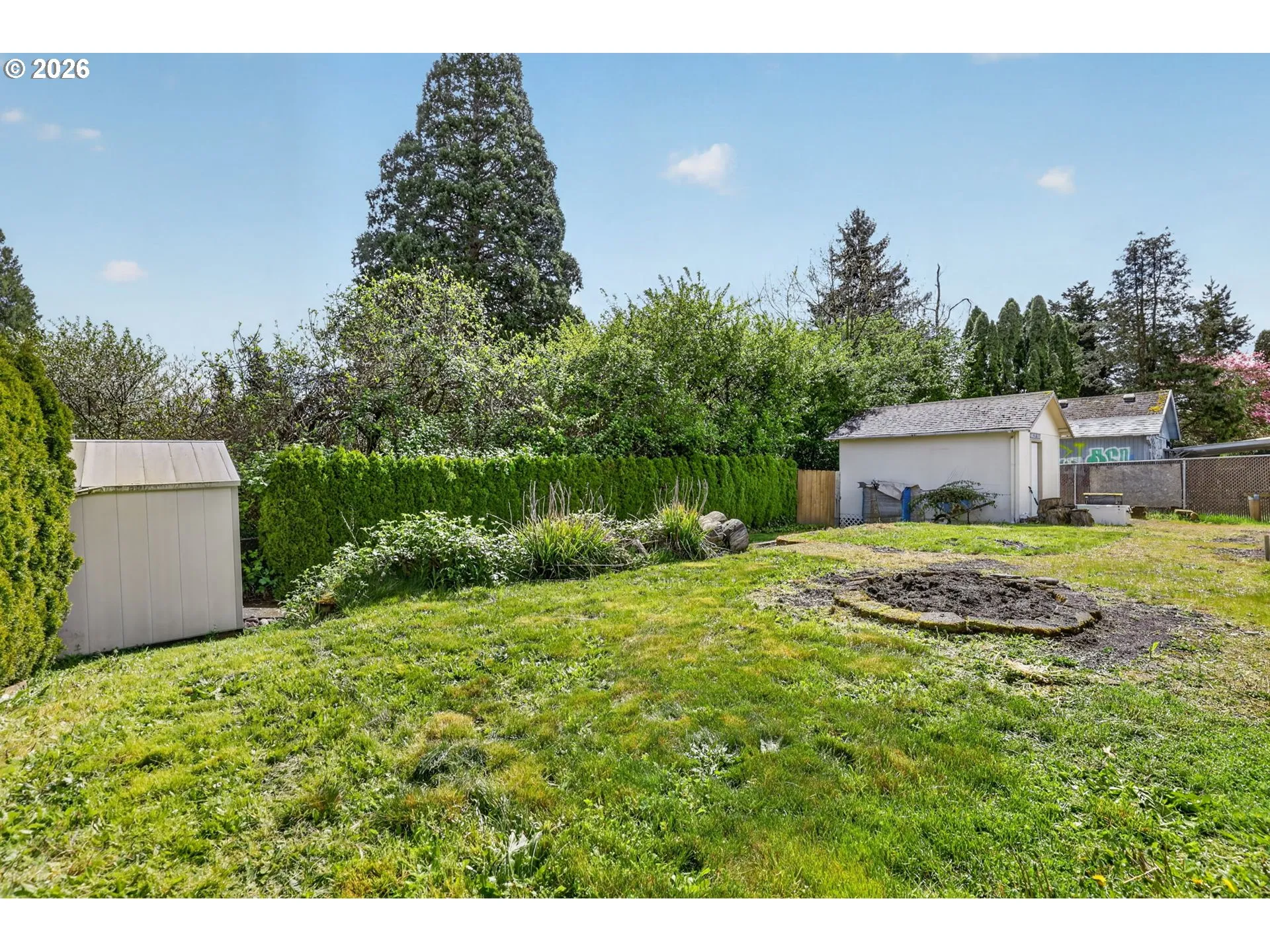 Backyard