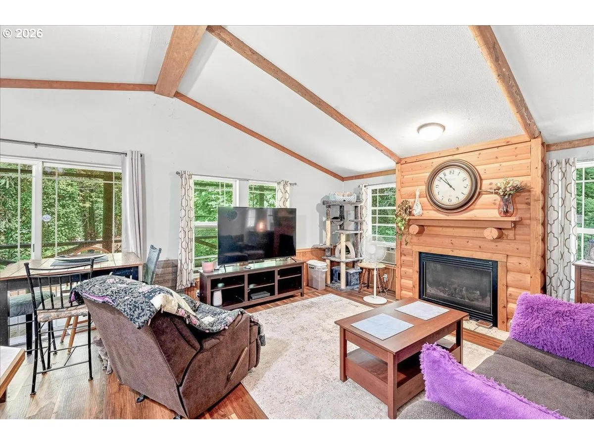 Living Room-Fireplace