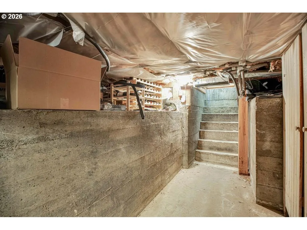 Wine Cellar
