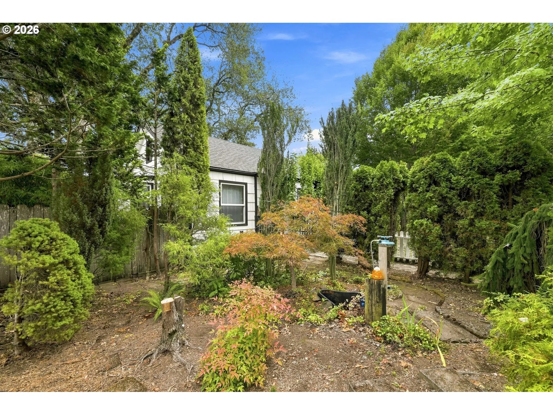 Backyard-Fenced