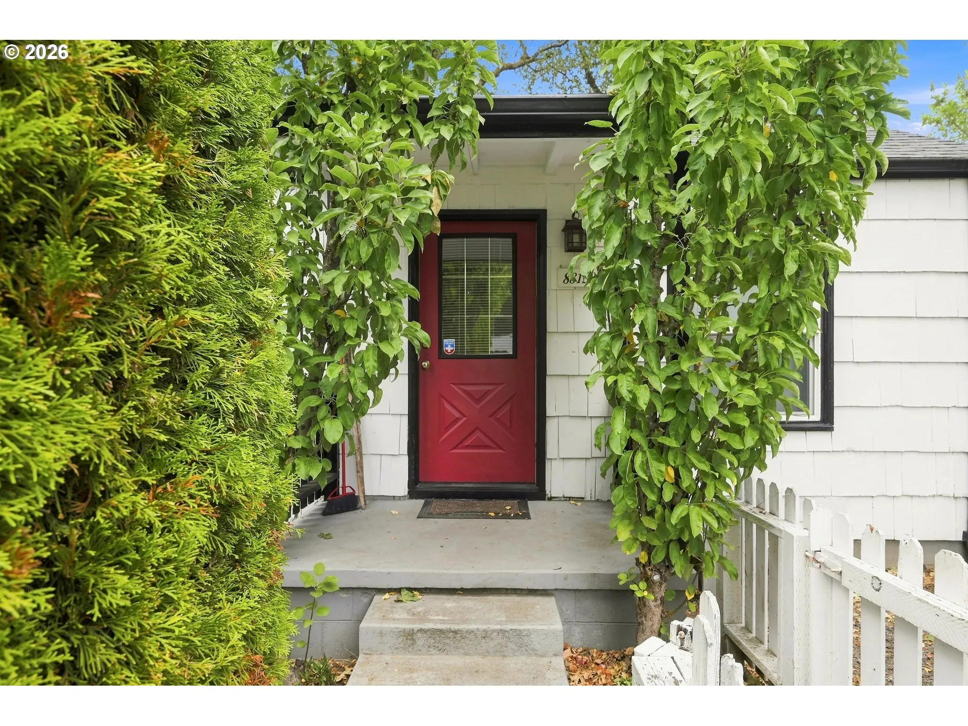 Front Yard