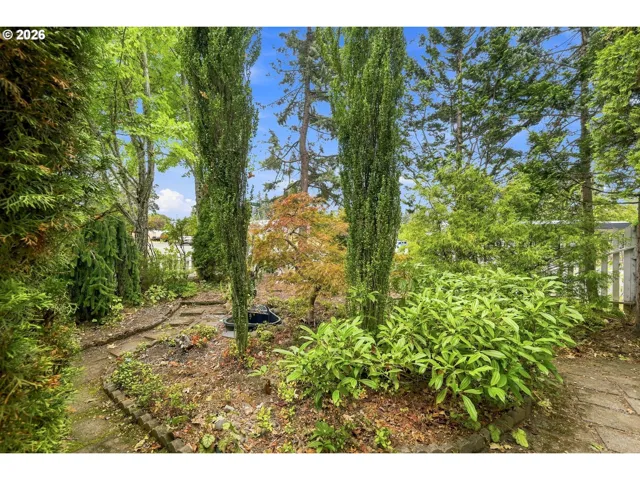 Backyard-Fenced
