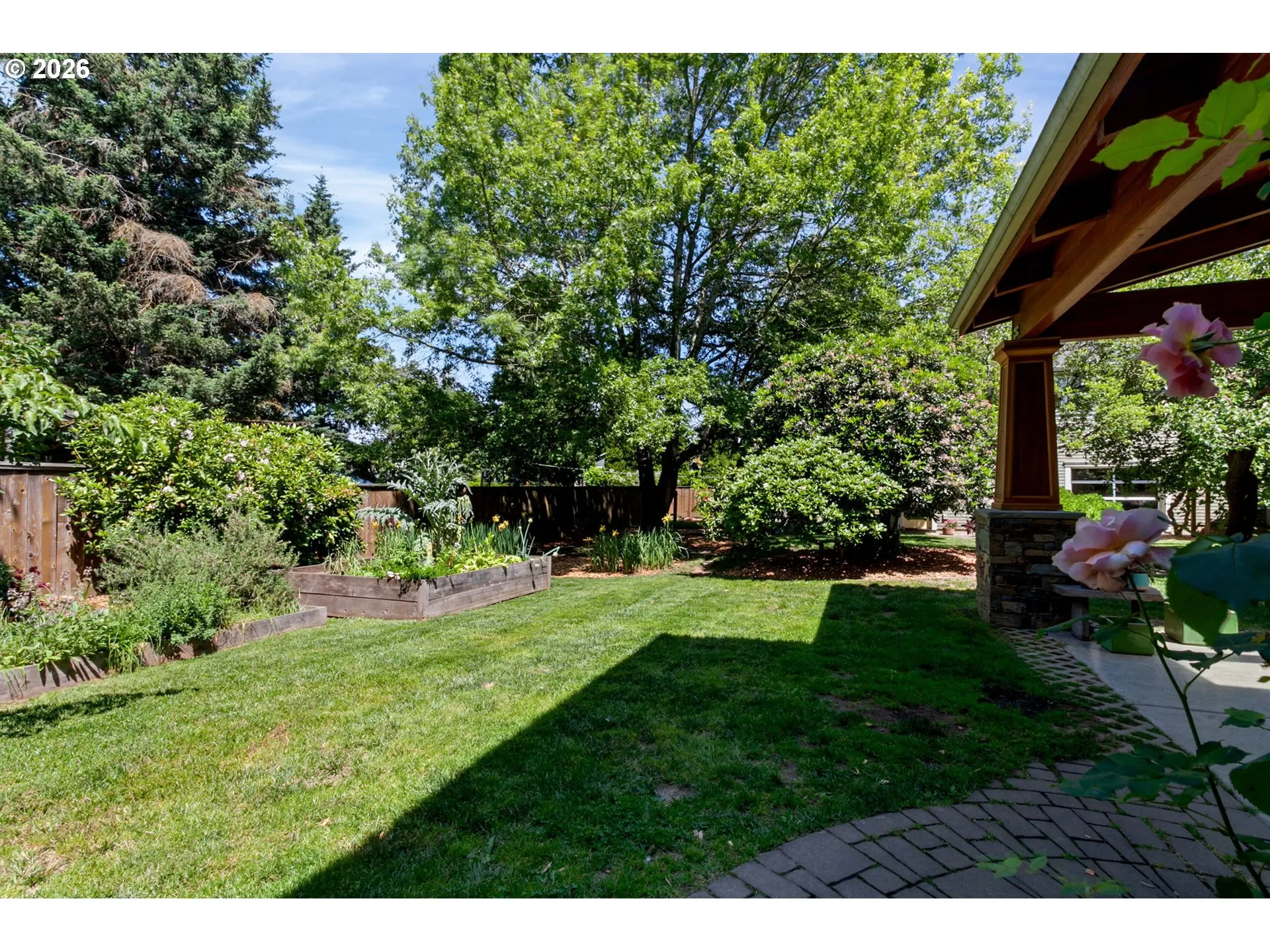 Backyard