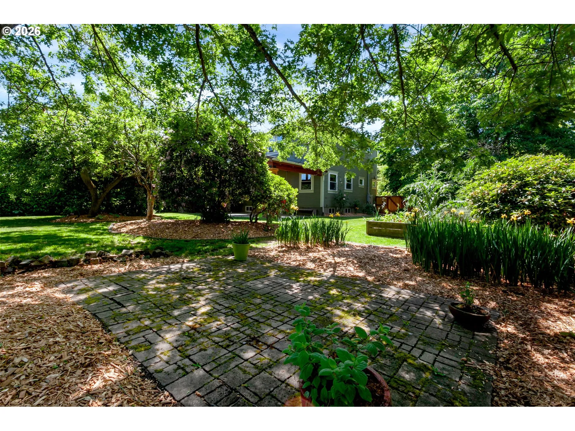 Patio-Backyard