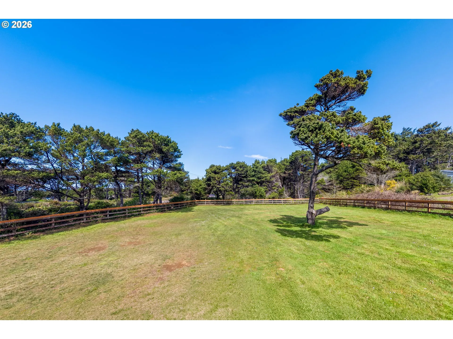 Backyard-Fenced