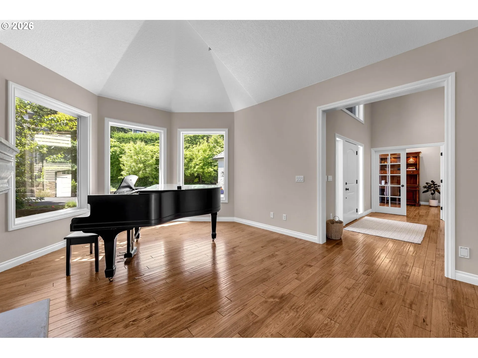 Living Room/Entrance