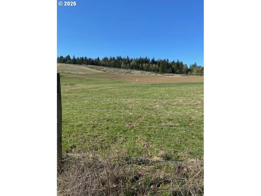 Pasture