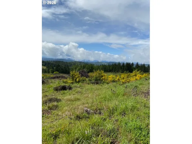View-Property