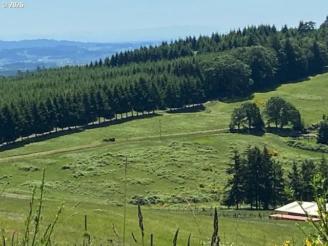 View-Property
