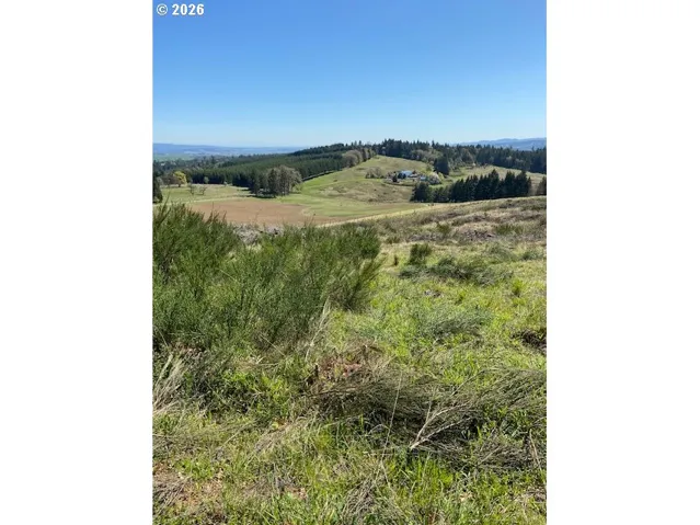 View-Property