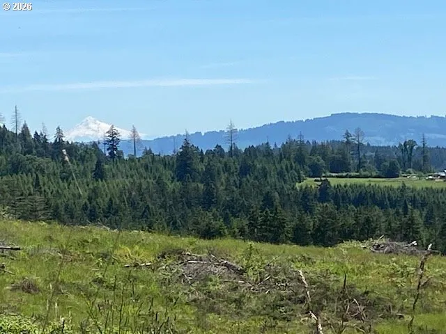 View-Mountain