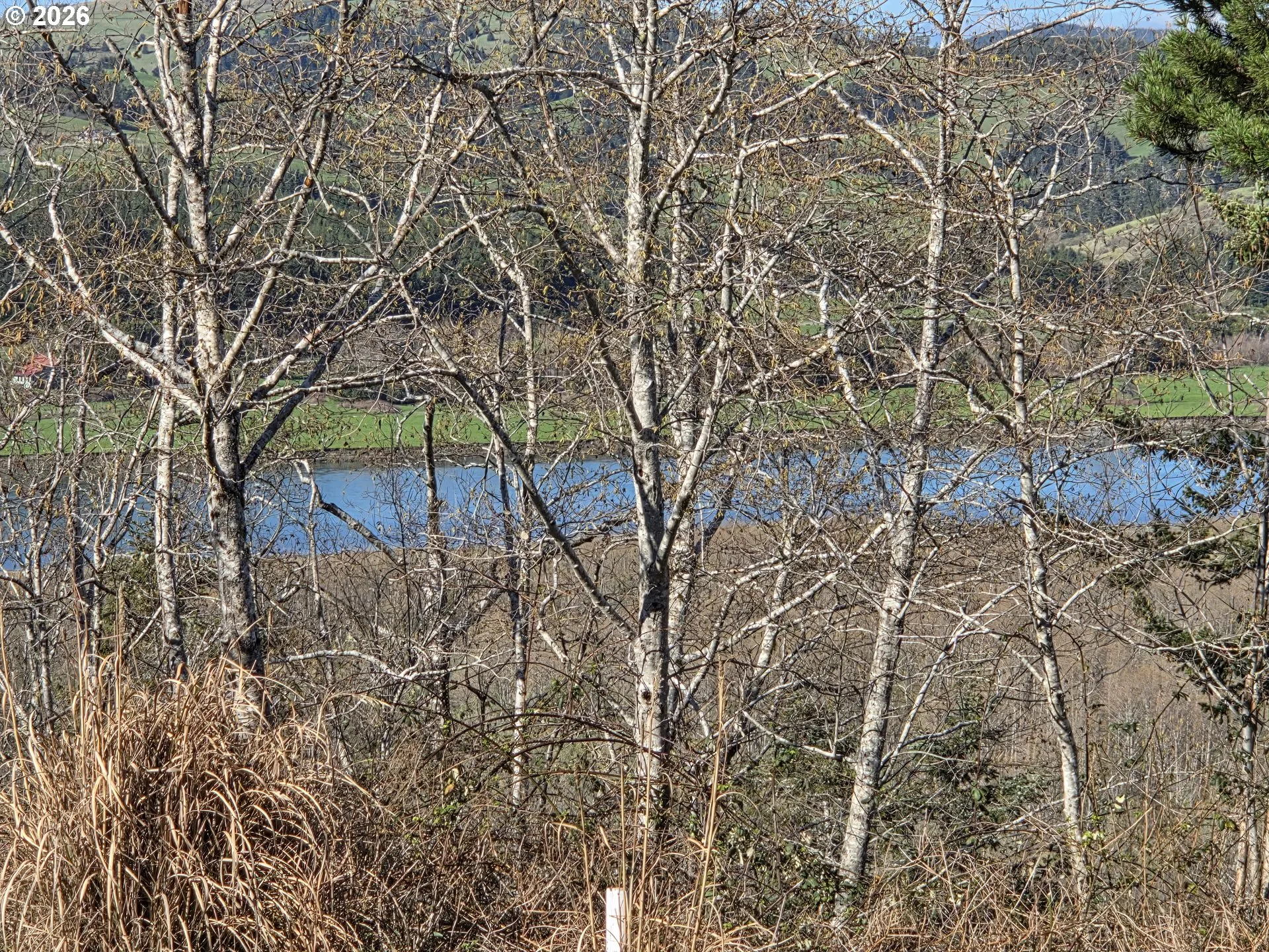 View-River