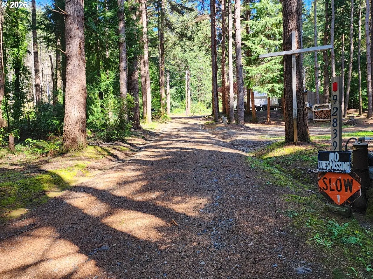 Driveway