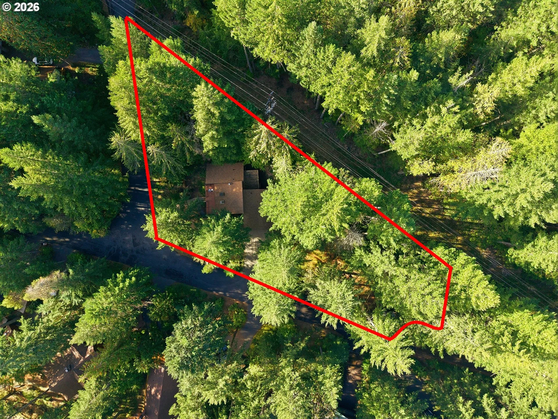 Approximate Property Lines-Wooded / Acreage