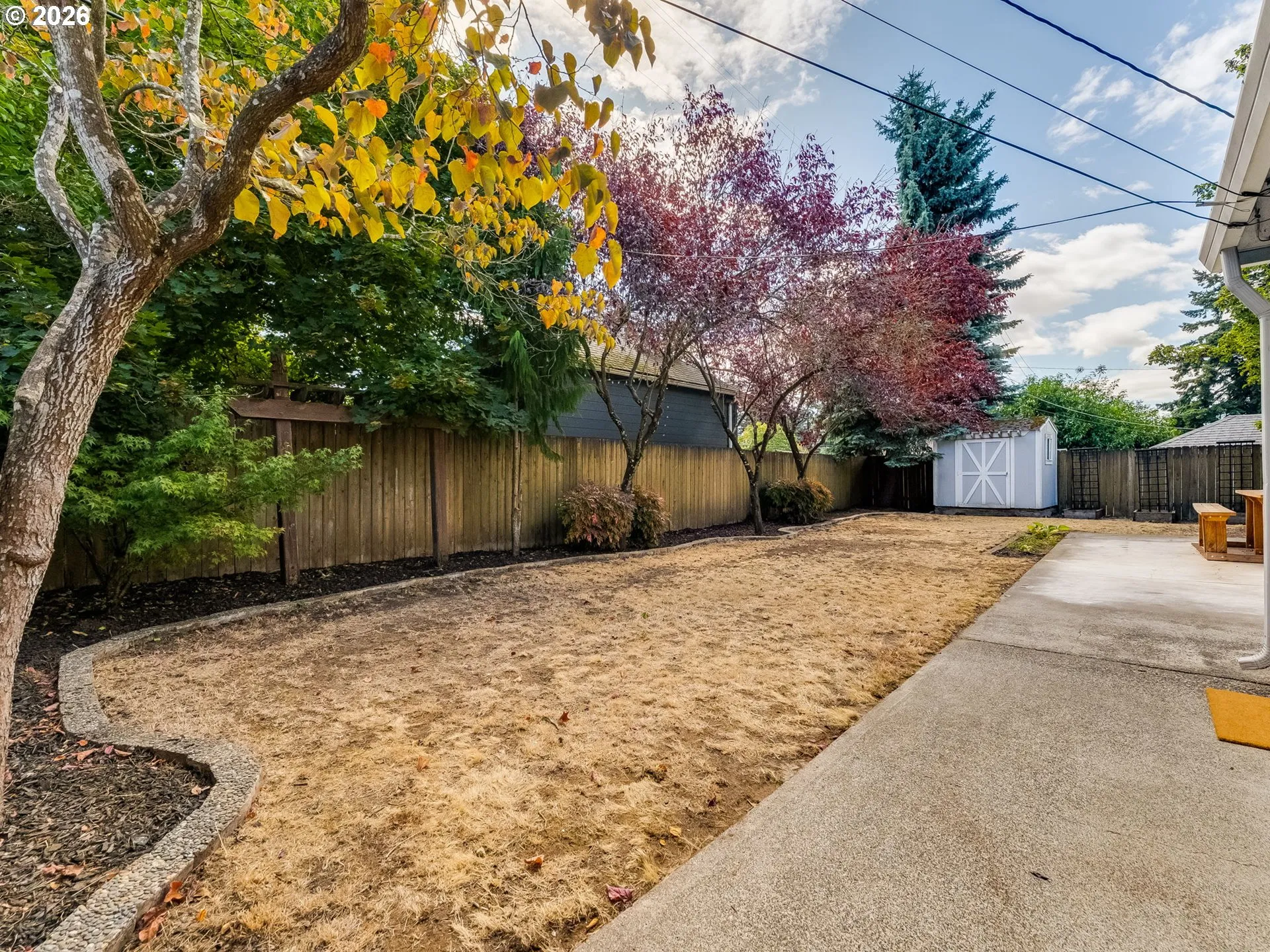 Backyard-Fenced