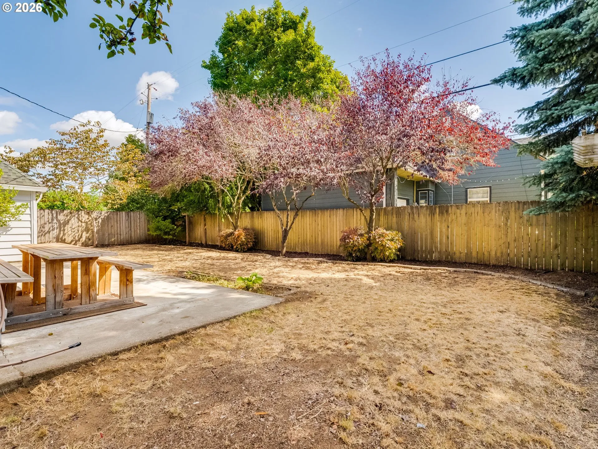 Backyard-Fenced