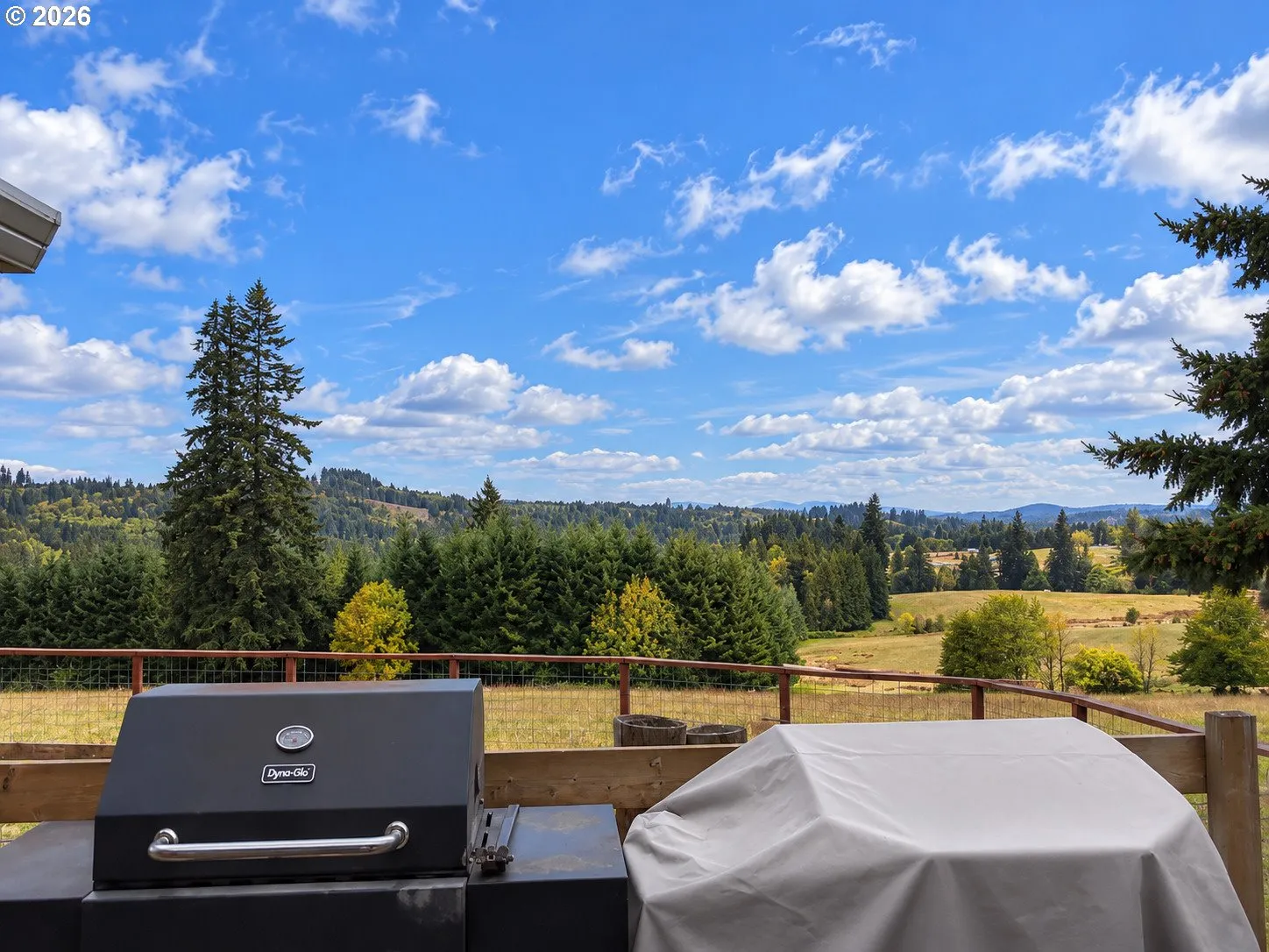 Backyard-View From