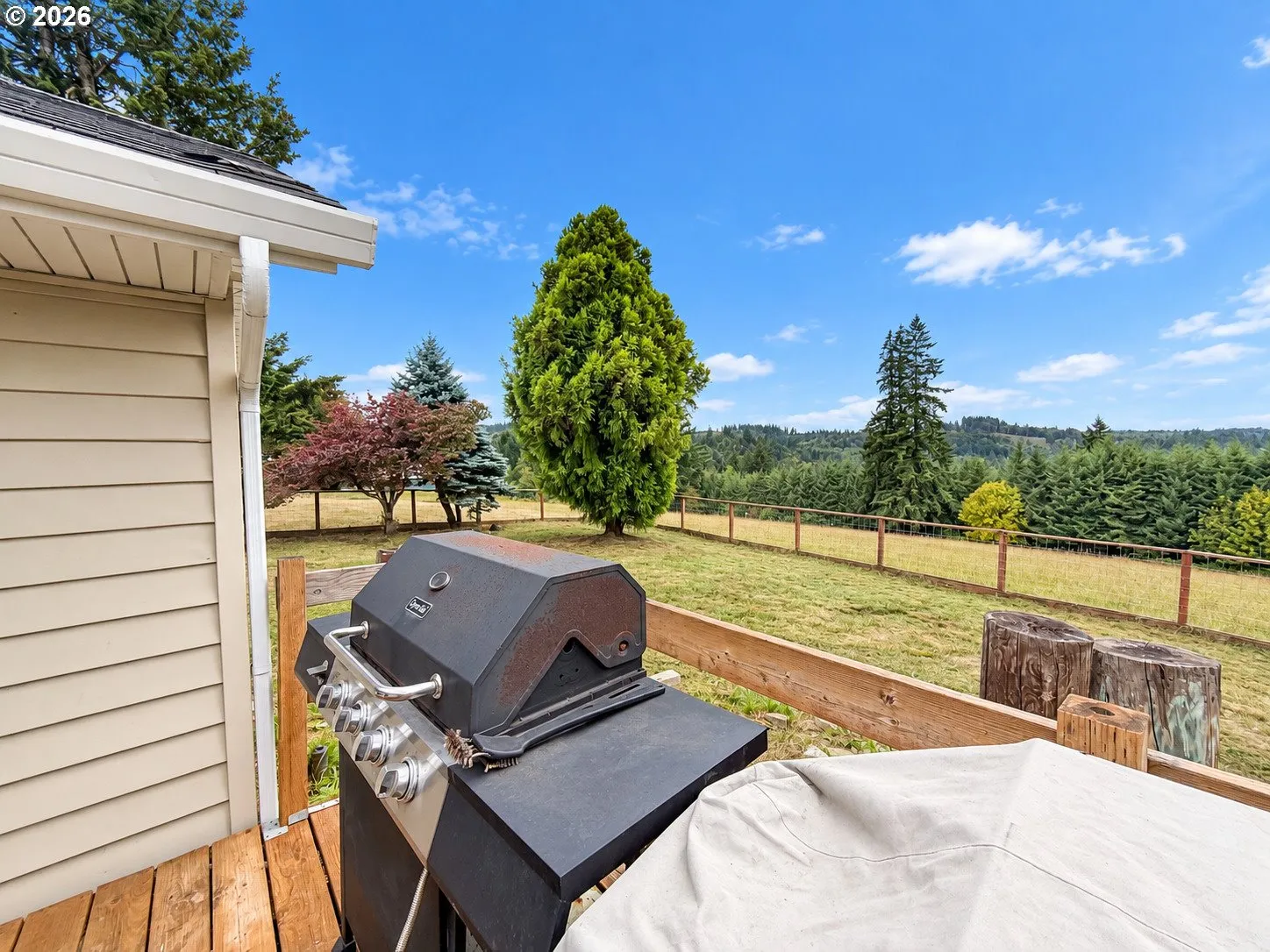 Backyard-View From