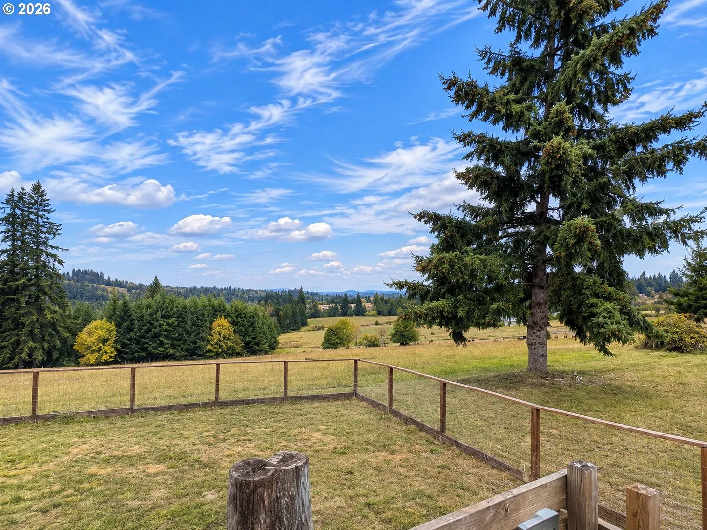 Backyard-Fenced