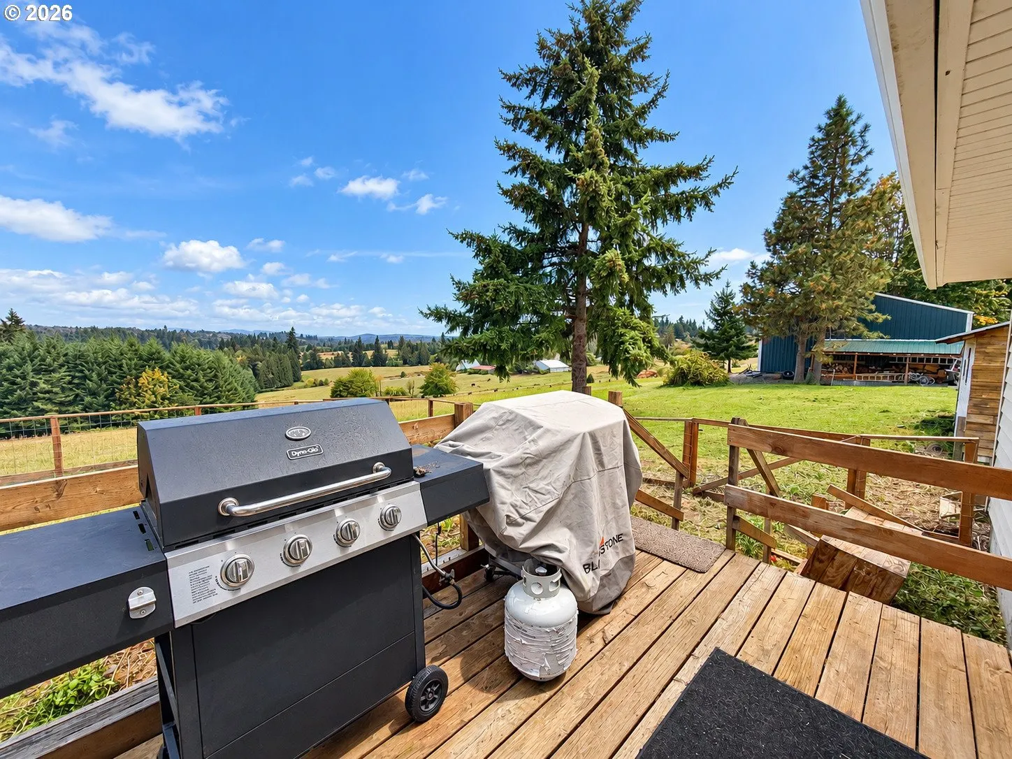 Backyard-View From