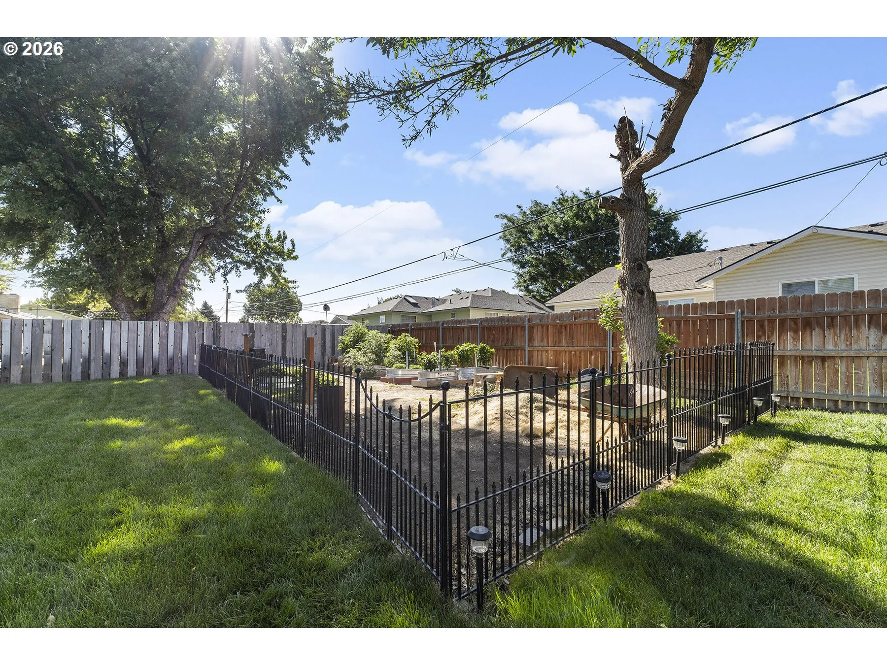 Backyard-Fenced