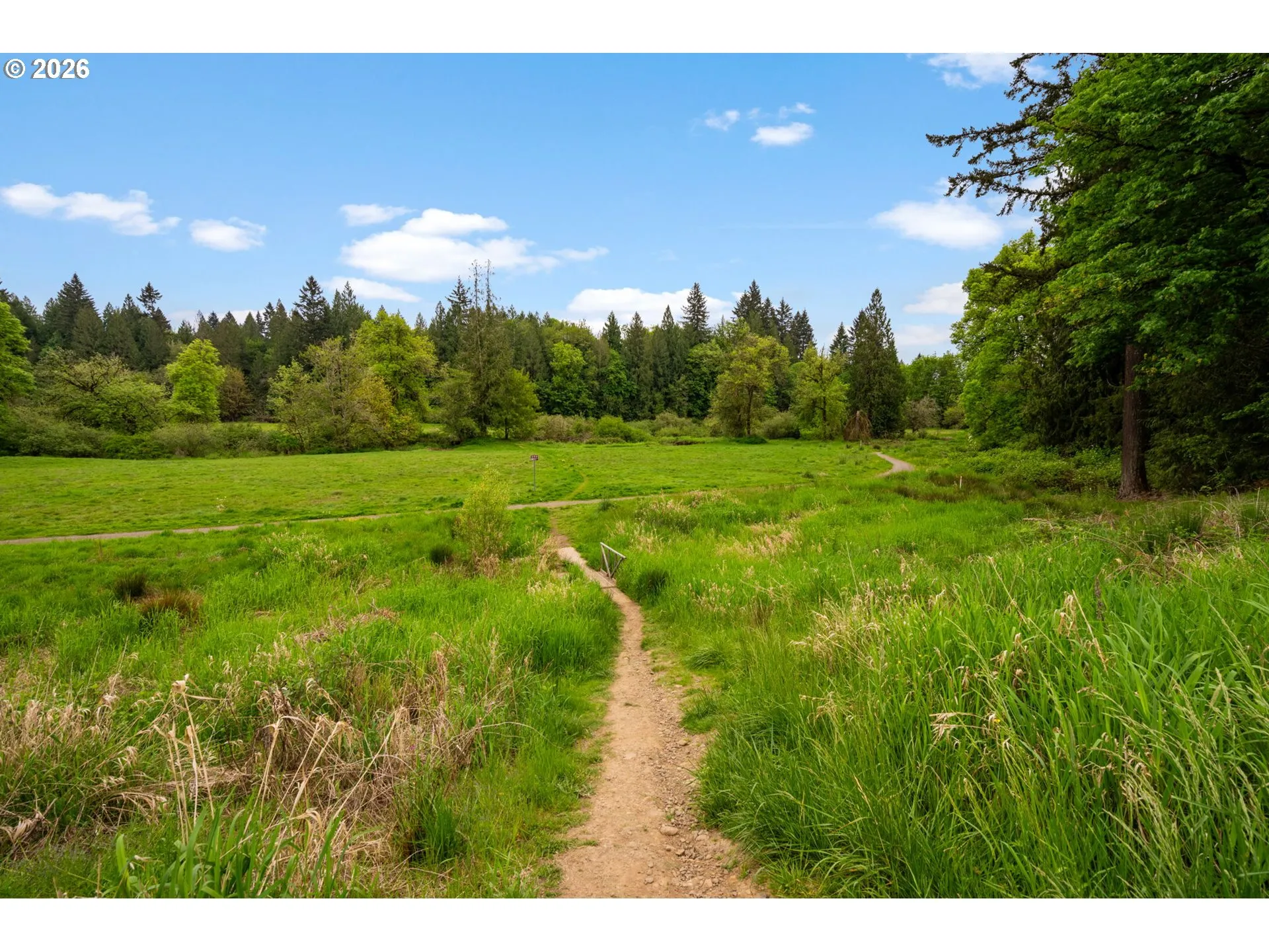 Green Space