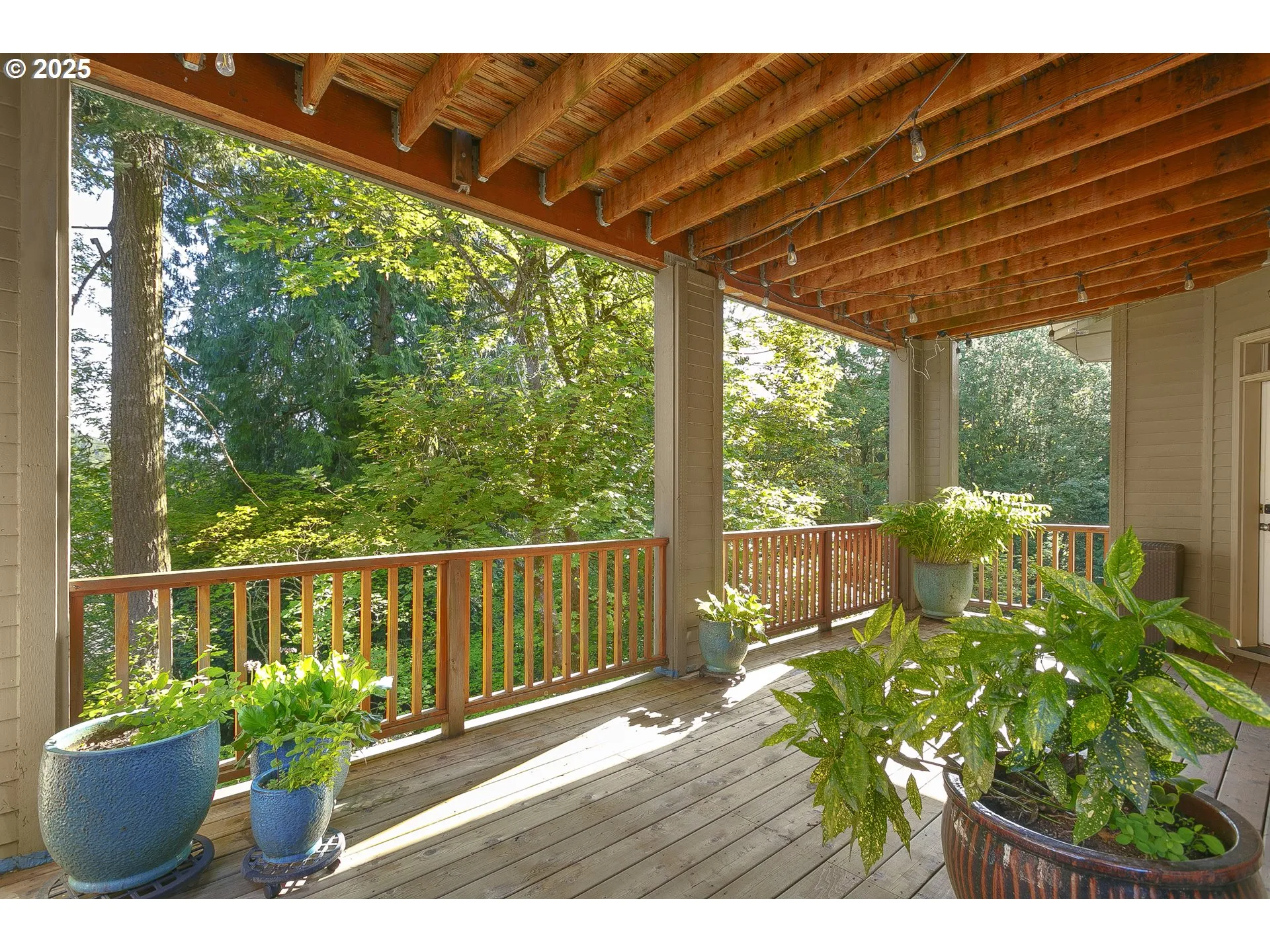 Deck-Lower