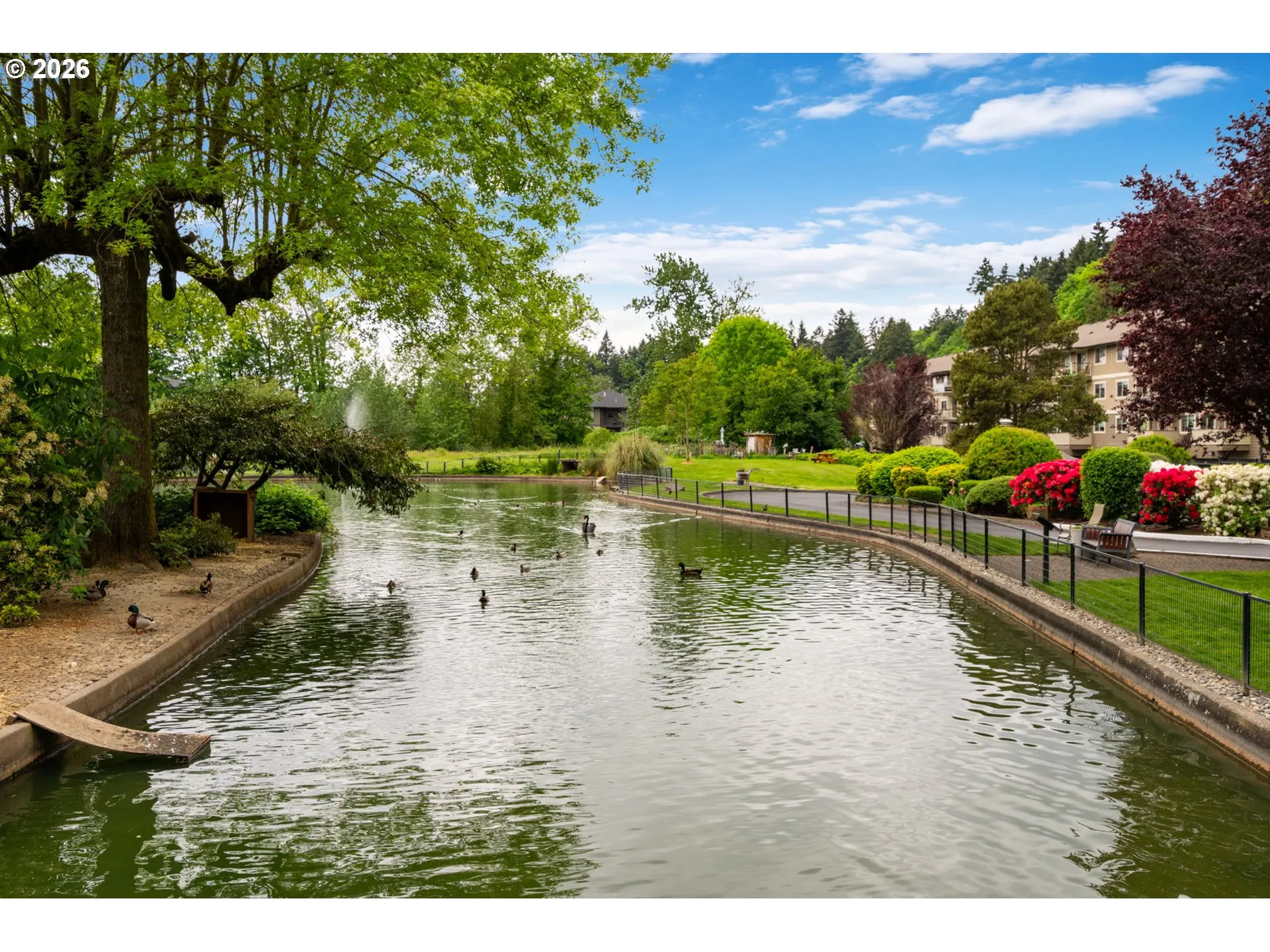 Pond