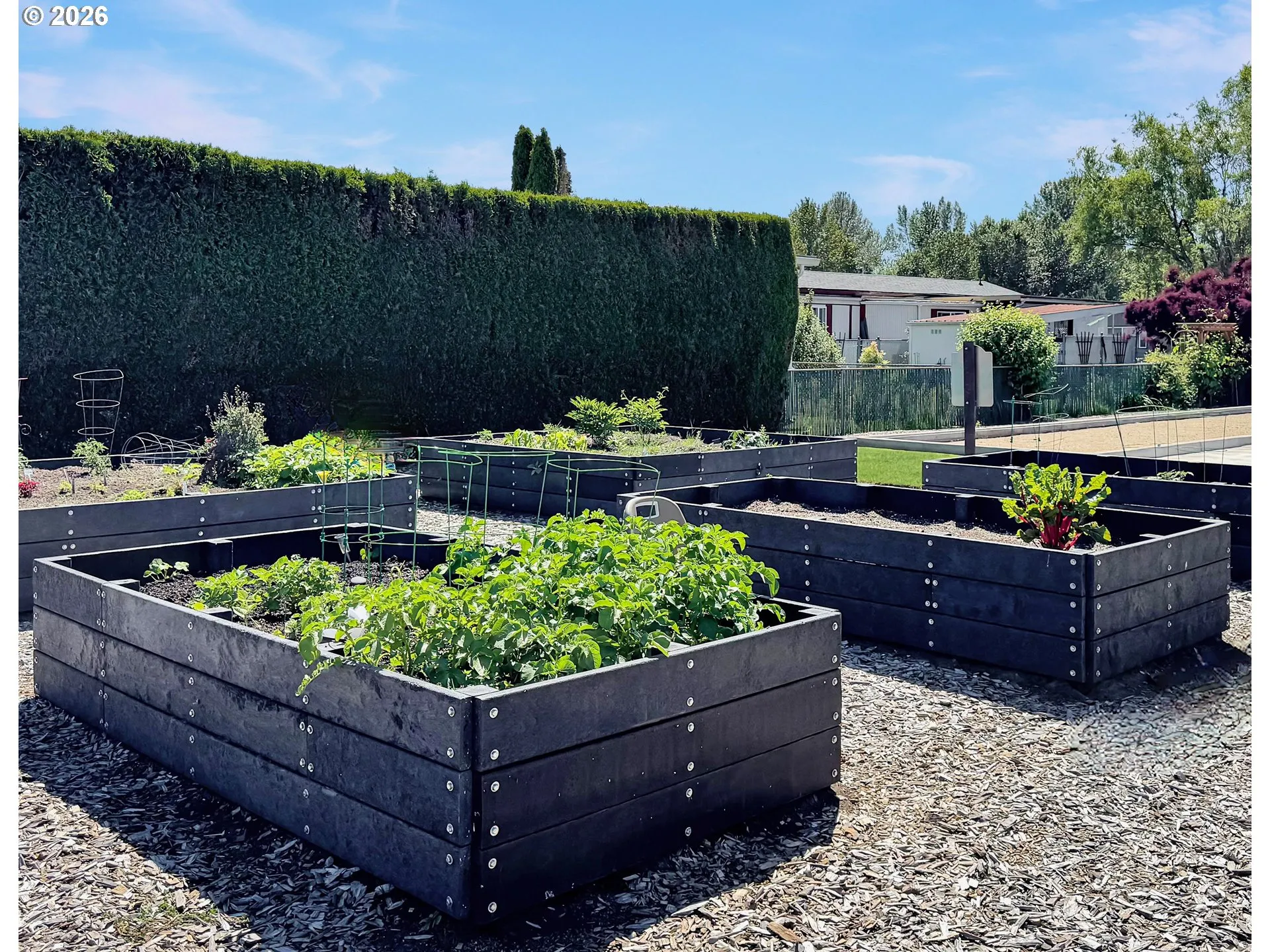 Community Garden