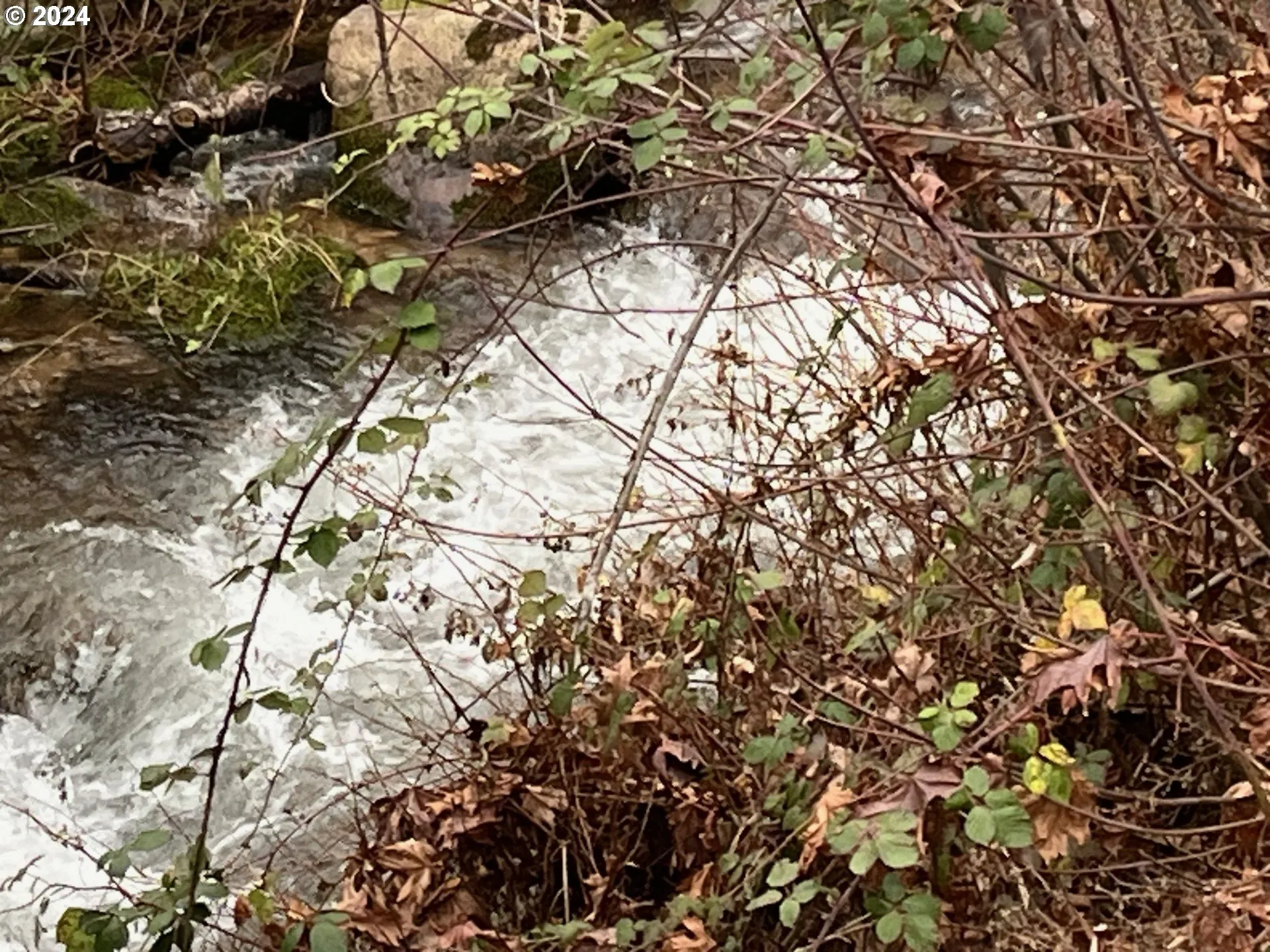 Creek-Year Round