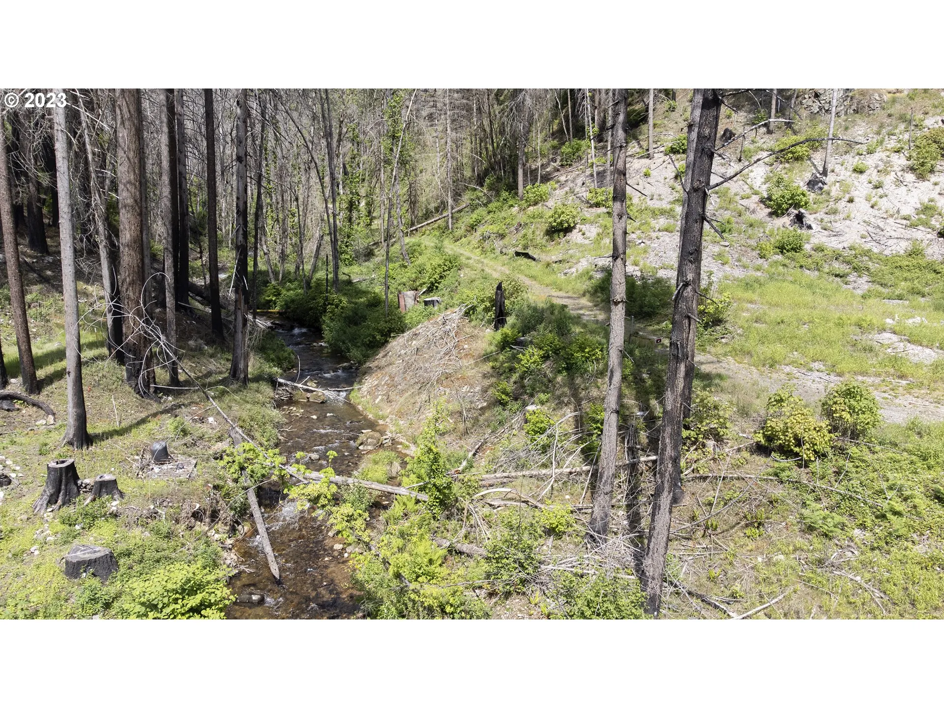 Creek-Year Round