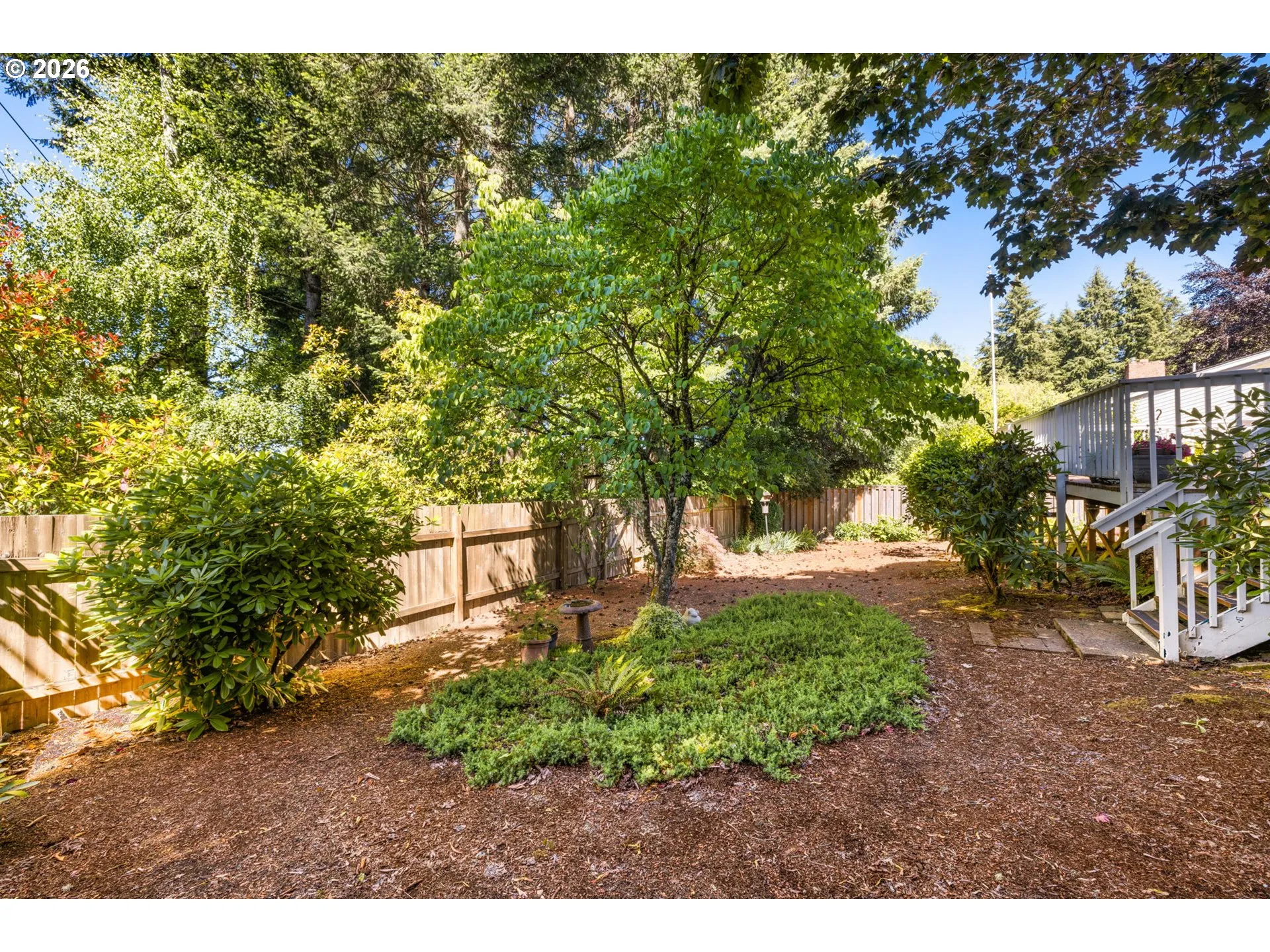 Backyard-Fenced