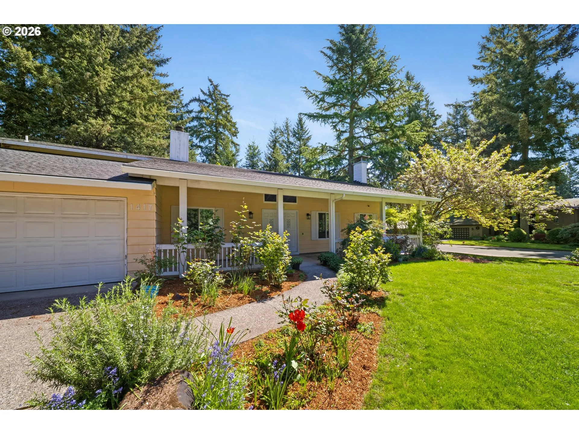 Front Yard-View From