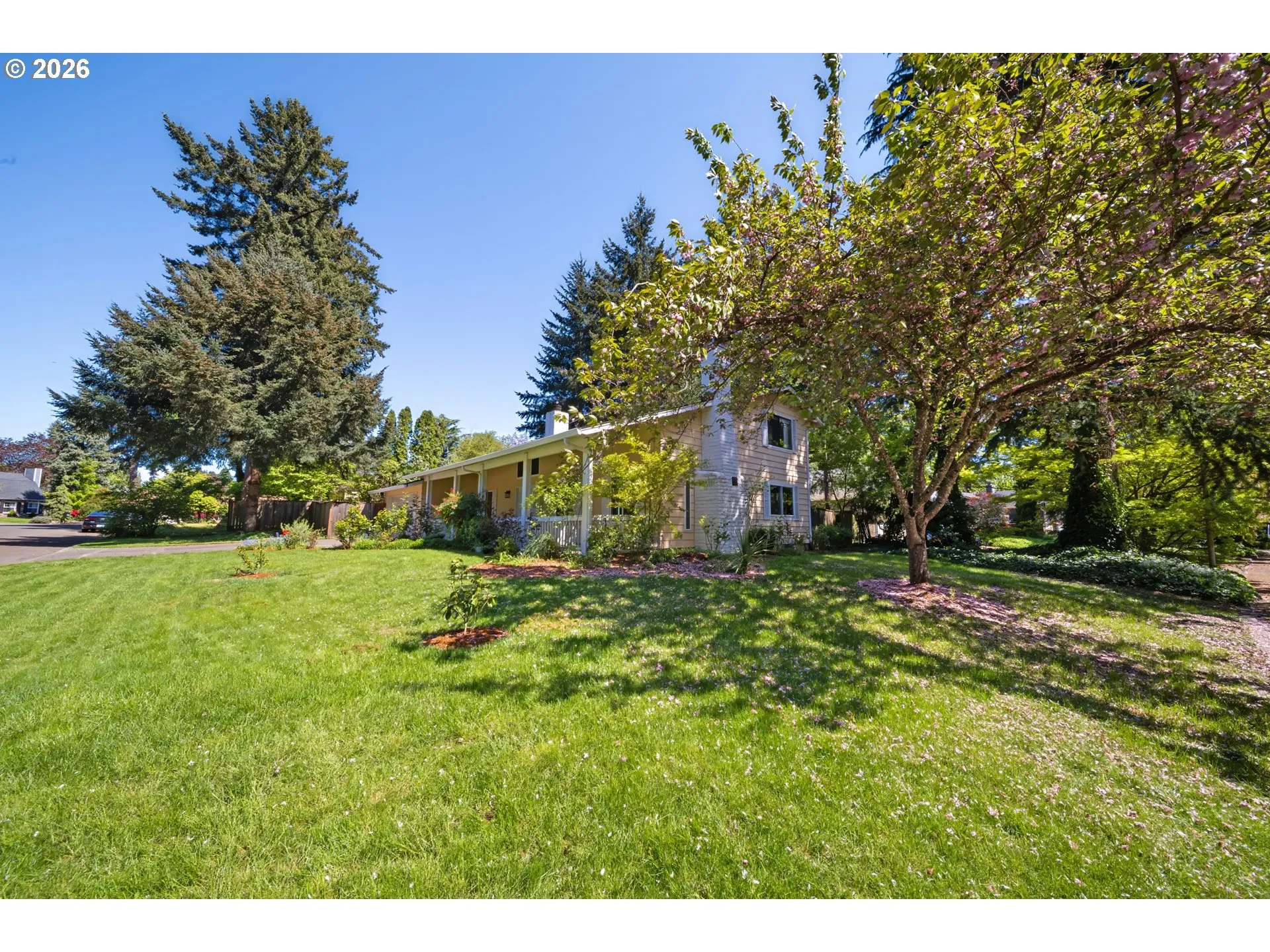 Front Yard-View From