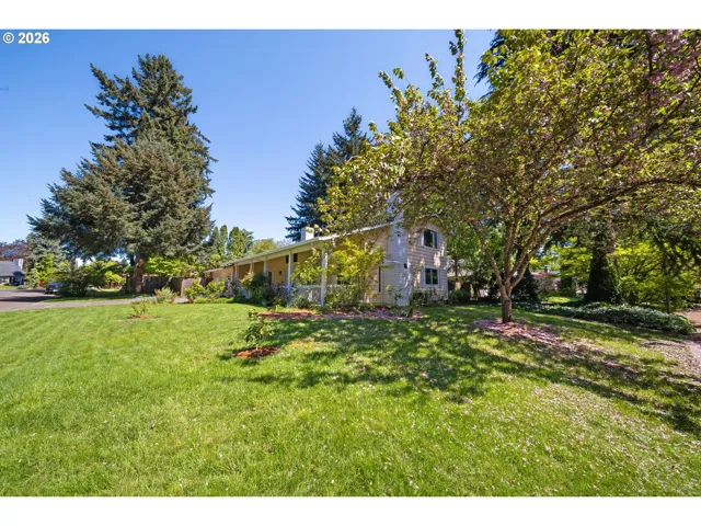 Front Yard-View From