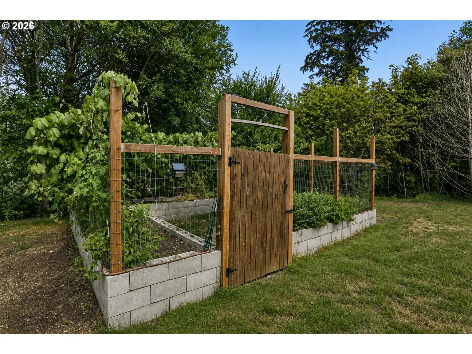 Garden-Fenced